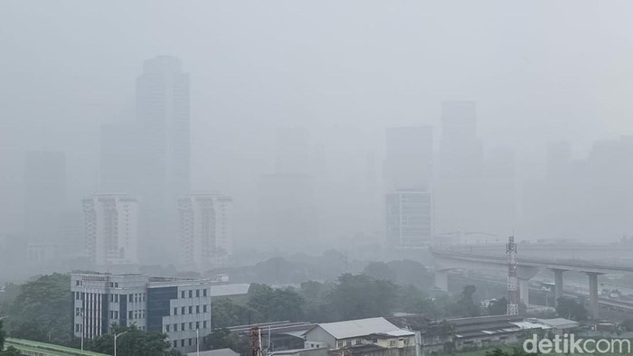 Hujan deras mengguyur wilayah Jakarta. Hujan disertai angin. (Herianto Batubara/detikcom)
