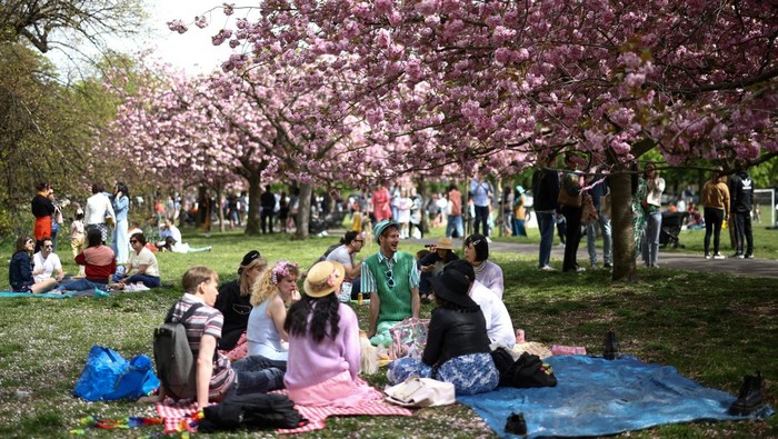 A child poses under petals falling from a cherry blossom tree in Greenwich Park in London, Britain, April 17, 2022. REUTERS/Henry Nicholls     TPX IMAGES OF THE DAY