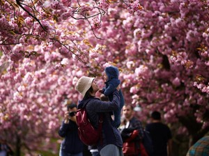 Jepang Mulai Terima Turis dari 98 Negara, Termasuk Indonesia!