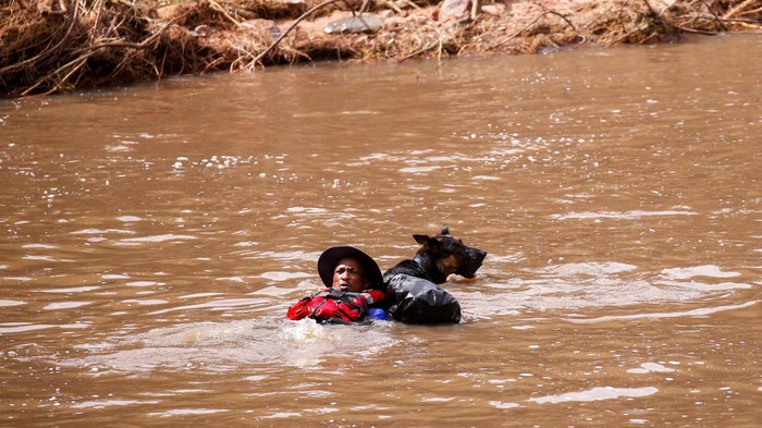 Banjir yang melanda Afrika Selatan menewaskan 443 orang. Tim SAR dan anjing pelacak dikerahkan untuk mencari korban di lokasi bencana.