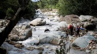 Tim SAR dan seekor anjing pelacak mencari korban banjir di kawasan Umbumbulu di dekat Durban, Afrika Selatan, Senin (18/4/2022) waktu setempat.