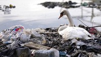 Banjir sampah plastik tentunya akan makin buruk jika manusia tidak melakukan sesuatu mengenai masalah ini. Untuk diketahui, produksi plastik global diperkirakan akan berlipat ganda pada tahun 2045.