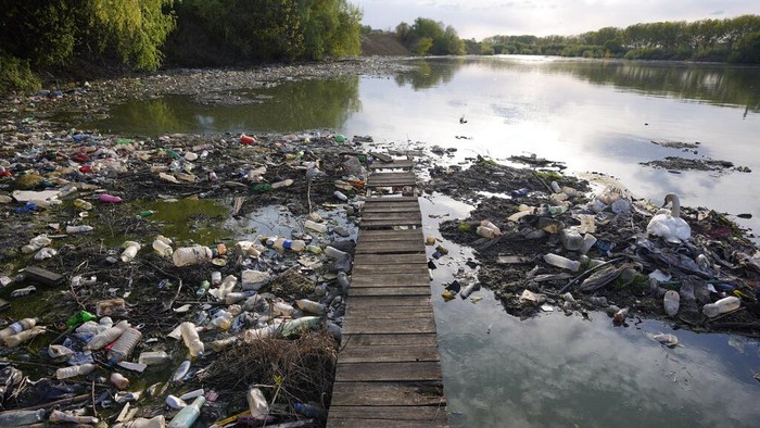 A swan stands between dumped plastic bottles and waste at the Danube river in Belgrade, Serbia, Monday, April 18, 2022. (AP Photo/Darko Vojinovic)