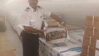 Ada lebih dari 20 ruang penyimpanan makanan di dalam dapur ini. Mulai dari tempat penyimpanan kering hingga freezer untuk makanan beku. Foto: Sophie Claire/Insider