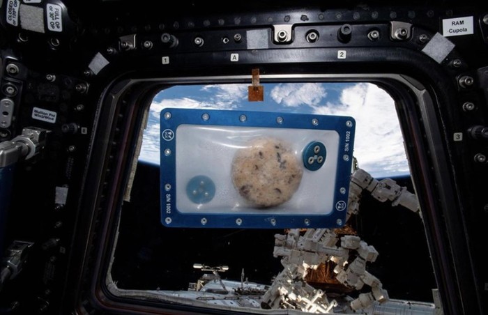 15 Makanan Astronot Saat di Luar Angkasa, Sejak Tahun 1960an!