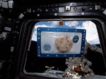 5 Tren Makanan yang Mengubah Dunia, dari Fast Food hingga Kedai Kopi