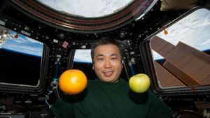 15 Makanan Astronot Saat di Luar Angkasa, Sejak Tahun 1960an!