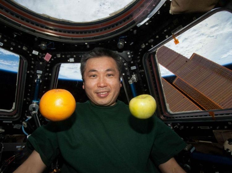 15 Makanan Astronot Saat di Luar Angkasa, Sejak Tahun 1960an!