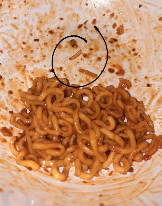 Duh! Netizen Ini Apes Banget, Makan Mie Instan Bonus Belatung
