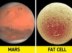 Foto Bagian Tubuh Manusia yang Bikin Mata Tercengang