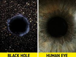 Foto Bagian Tubuh Manusia yang Bikin Mata Tercengang