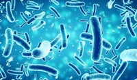 Ilustrasi bakteri Salmonella
