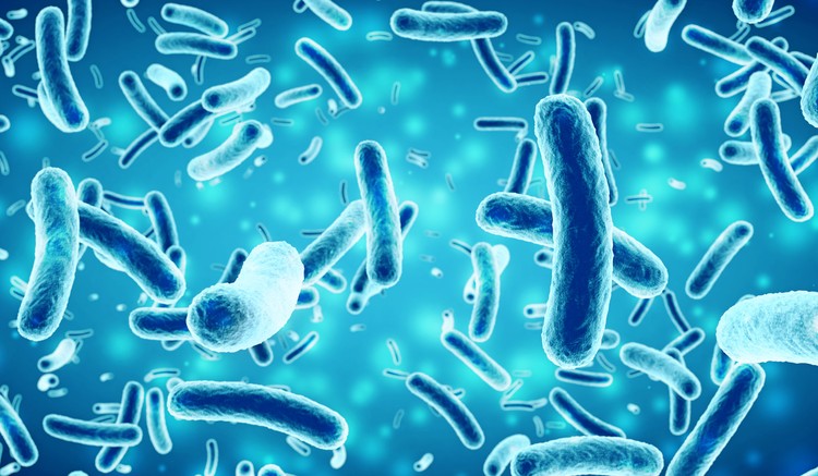 Ilustrasi bakteri Salmonella