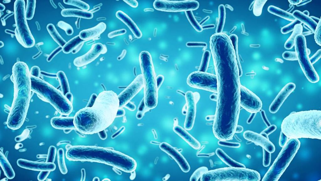Studi UNSW Sydney Buktikan Bakteri dapat Memperbaiki Dirinya Sendiri