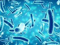 15 Fakta Random di Dunia yang Mind Blowing