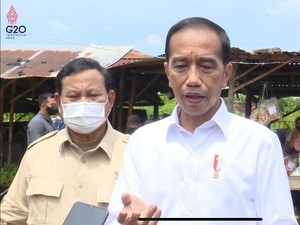 Jokowi Minta Permainan Minyak Goreng di Kemendag Diusut Tuntas