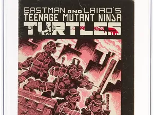 Lembaran Komik Langka Teenage Mutant Ninja Turtles Dilelang Rp 3,5 M