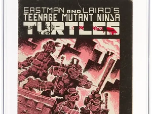 Lembaran Komik Langka Teenage Mutant Ninja Turtles Dilelang Rp 3,5 M