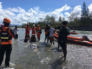 Tim SAR Temukan Lagi 1 Pendulang Emas Tewas Terseret Arus Sungai di Timika