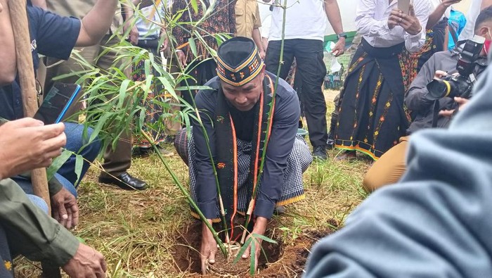 Gubernur NTT Viktor Bungtilu Laiskodat melakukan penanaman bambu di Desa Persiapan Bangka Wela, Desa Golo Worok, Kecamatan Ruteng, Kabupaten Manggarai, Selasa (19/4/2022)