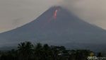 Gunung Merapi Kembali Muntahkan Lava Pijar Pagi Ini