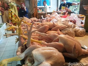 Kacau! Harga Daging Ayam Ikut Meroket, Tembus Rp 45 Ribu/Kg