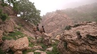 Kabanyakan macan tutul Persia berada di Iran dan Afganistan. Para ahli konservasi Kurdi memperkirakan jumlahnya kini hanya sekitar 25 ekor di Irak. Jumlah tersebut merupakan jumlah di bawah populasi yang tidak layak.