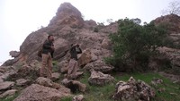 Menurut data dari Pemerintah Kurdistan, Kurdistan kini kehilangan hampir setengah dari hutannya antara 1999 dan 2018, menyebabkan pengurangan drastis habitat potensial macan tutul.