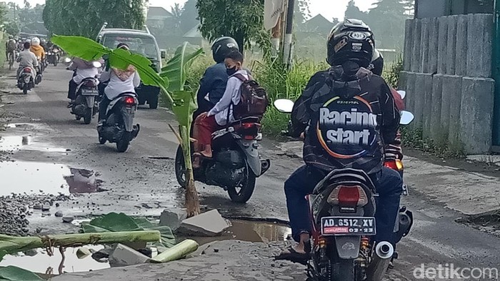 Pohon pisang ditanam warga di jalan yang berada di Wonosari, Klaten, Kamis (21/4/2022). Jalur itu menjadi jalan alternaatif dari Klaten menuju Solo.