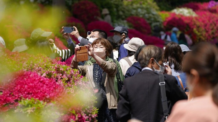 Japan Daily Life Visitors wearing face masks walk through the azalea garden at a Shinto shrine Thursday, April 21, 2022, in Tokyo. (AP Photo/Kiichiro Sato)