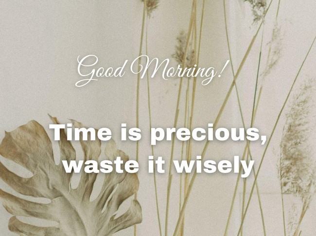 Kata-kata untuk Bio WA Bahasa Inggris