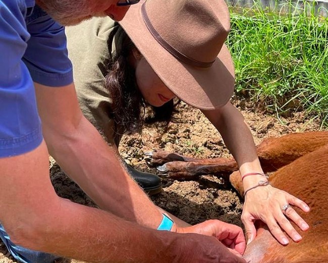 Dalam unggahan Instagramnya, Rabu (20/4/2022) itu, Nadya mengabarkan bahwa dia pindah dari Singapura ke Australia. Nadya mengaku bahwa kepindahannya ke Australia agar dia bisa dekat dengan orangtuanya. Foto: dok. Instagram/@nadyahutagalung