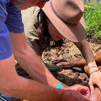 Dalam unggahan Instagramnya, Rabu (20/4/2022) itu, Nadya mengabarkan bahwa dia pindah dari Singapura ke Australia. Nadya mengaku bahwa kepindahannya ke Australia agar dia bisa dekat dengan orangtuanya. Foto: dok. Instagram/@nadyahutagalung