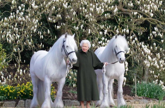 Queen Elizabeth Queen Elizabeth