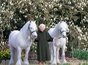 Rayakan Ulang Tahun ke-96, Ratu Elizabeth Foto Bareng Kuda Poni