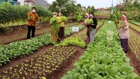 Direktur Komersial PT East West Seed Indonesia (EWINDO) Ganesh Pamugar Satyagraha (kiri) didampingi General Manager Corporate Affairs EWINDO Fransiska Fortuna (kanan) menunjukkan hasil budidaya petani wanita seusai diskusi mengenai peran perempuan di industri pertanian di Way Kandis, Kec Tanjung Senang, Kota Bandar Lampung, Kamis (21/4).