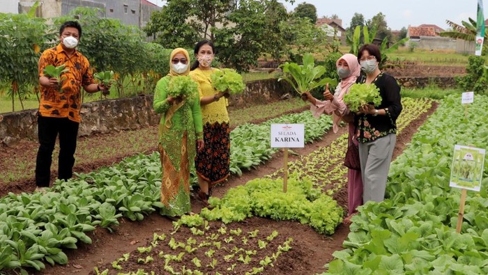 Guna memberikan hasil terbaiknya, Ewindo terus membina para petani wanita yang tersebar di seluruh Indonesia. 

Sedikitnya ada lebih dari 30 ribu wanita yang tersebar di Jawa Timur, Jawa Barat dan Banten yang secara berkelanjutan mendapatkan pembinaan untuk menjadi polinator produksi benih sayuran unggul berkualitas.