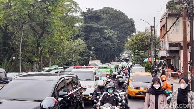 Sejumlah mahasiswa menggelar unjuk rasa di sekitar Istana Kepresidenan Bogor, Jawa Barat (Jabar). Demo berlangsung di dua titik di sekitar Istana Bogor. (M Sholihin/detikcom)
