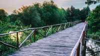 Memiliki luas hingga 99,82 Ha, TWA Angke Kapuk berada di Kamal Muara, PIK Jakarta Utara. Traveler bisa menjajal wisata air hingga melakukan penanaman hutan mangrove (Taman Mangrove Jakarta)