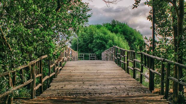 Taman Wisata Alam Mangrove Taman Wisata Alam Mangrove