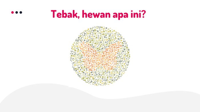 Asah otak Yakin Kamu Nggak Buta Warna? Coba Sebutkan Hewan Apa yang Ada di Gambar Ini