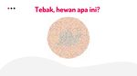Yakin Kamu Nggak Buta Warna? Coba Sebutkan Hewan Apa yang Ada di Gambar Ini