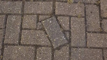 Beda dari yang lain.  Foto: Brightside