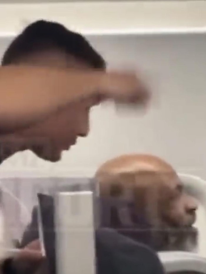 Detik-detik Mike Tyson Pukul K.O Penumpang Mabuk di Pesawat Mike Tyson kedapatan menghajar penumpang di dalam pesawat terbang yang ditumpanginya. Si Leher Beton kesal karena terus diprovokasi penumpang mabuk itu.