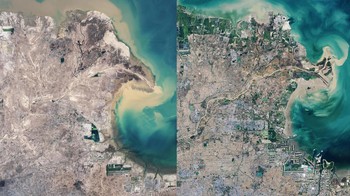 Perbandingan delta Sungai Kuning di China 2013 vs 2019. Foto: NASA