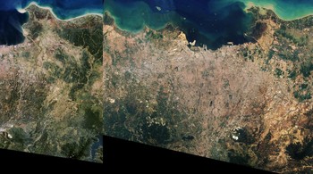 Perbandingan Jakarta 15 September 2013 - 24 Agustus 2019. Foto: NASA