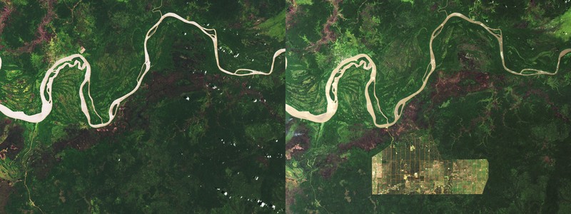 Foto perubahan iklim