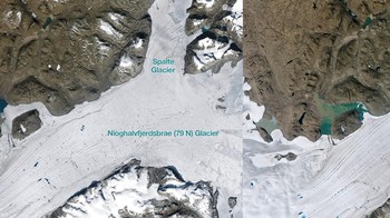 Hancurnya Gletser Spalte Greenland. Foto perbandingan 1984 - 2020. Foto: NASA