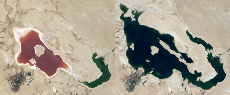 Foto perubahan iklim