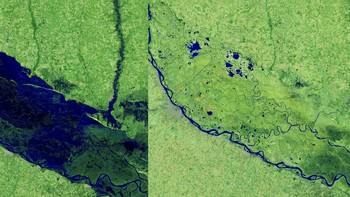 Gambar ini menunjukkan penurunan permukaan air di bagian Sungai Paraná, dekat Rosario, Argentina, selama rentang waktu 1984 dan 2020. Perbedaannya terutama terlihat di rawa-rawa, laguna, dan aliran delta sungai yang berdekatan. Foto: NASA  